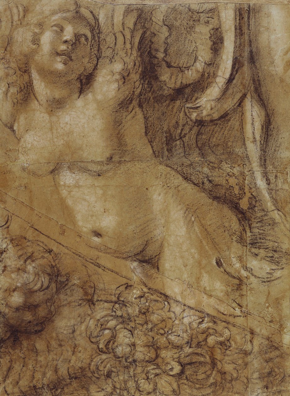 警报器纸板 作者 Annibale Carracci