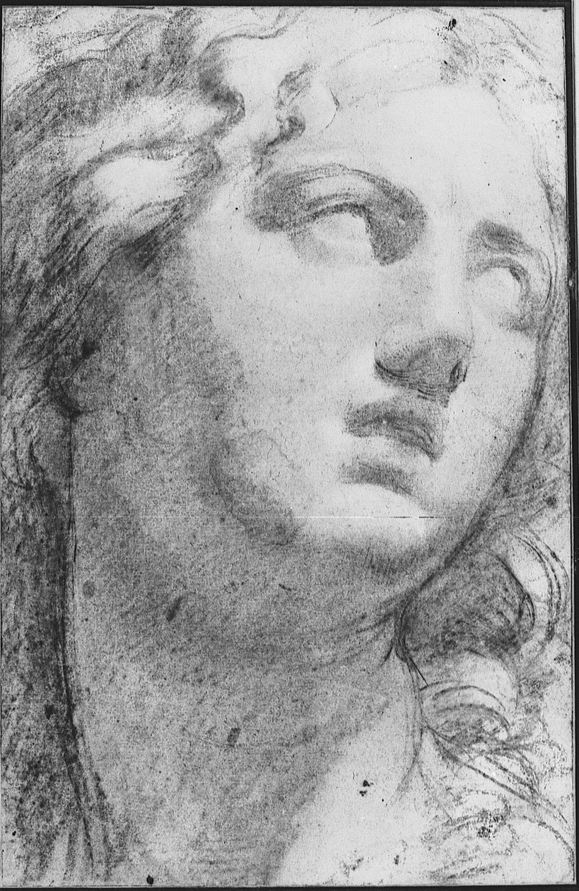 尼俄柏 作者 Annibale Carracci