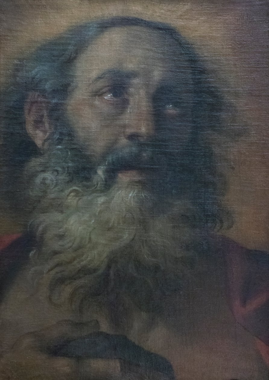 圣杰罗姆 作者 Annibale Carracci