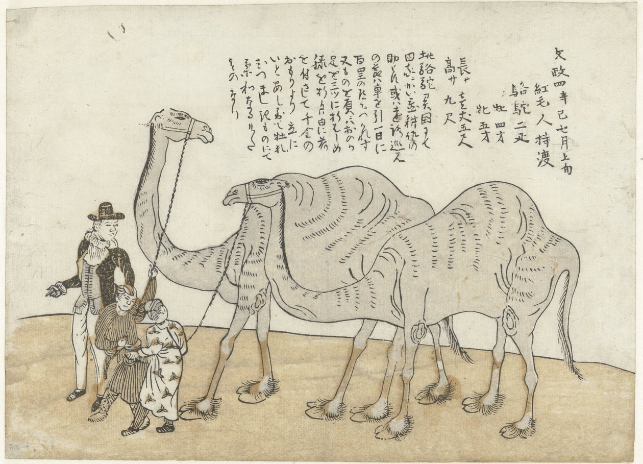 骆驼和单峰驼 作者 无名氏