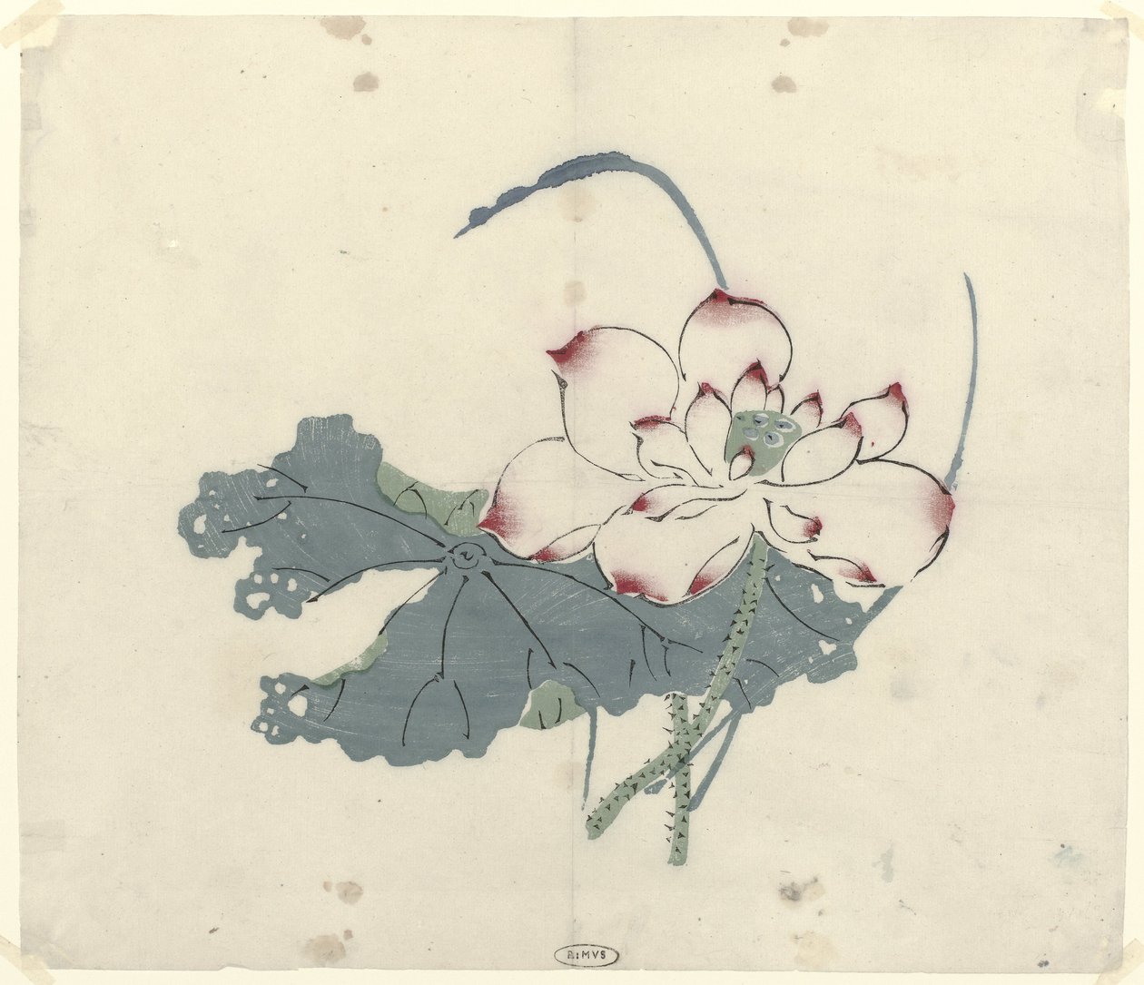 莲花 作者 无名氏