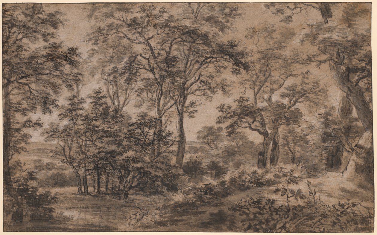 林木景观 作者 安东尼滑铁卢