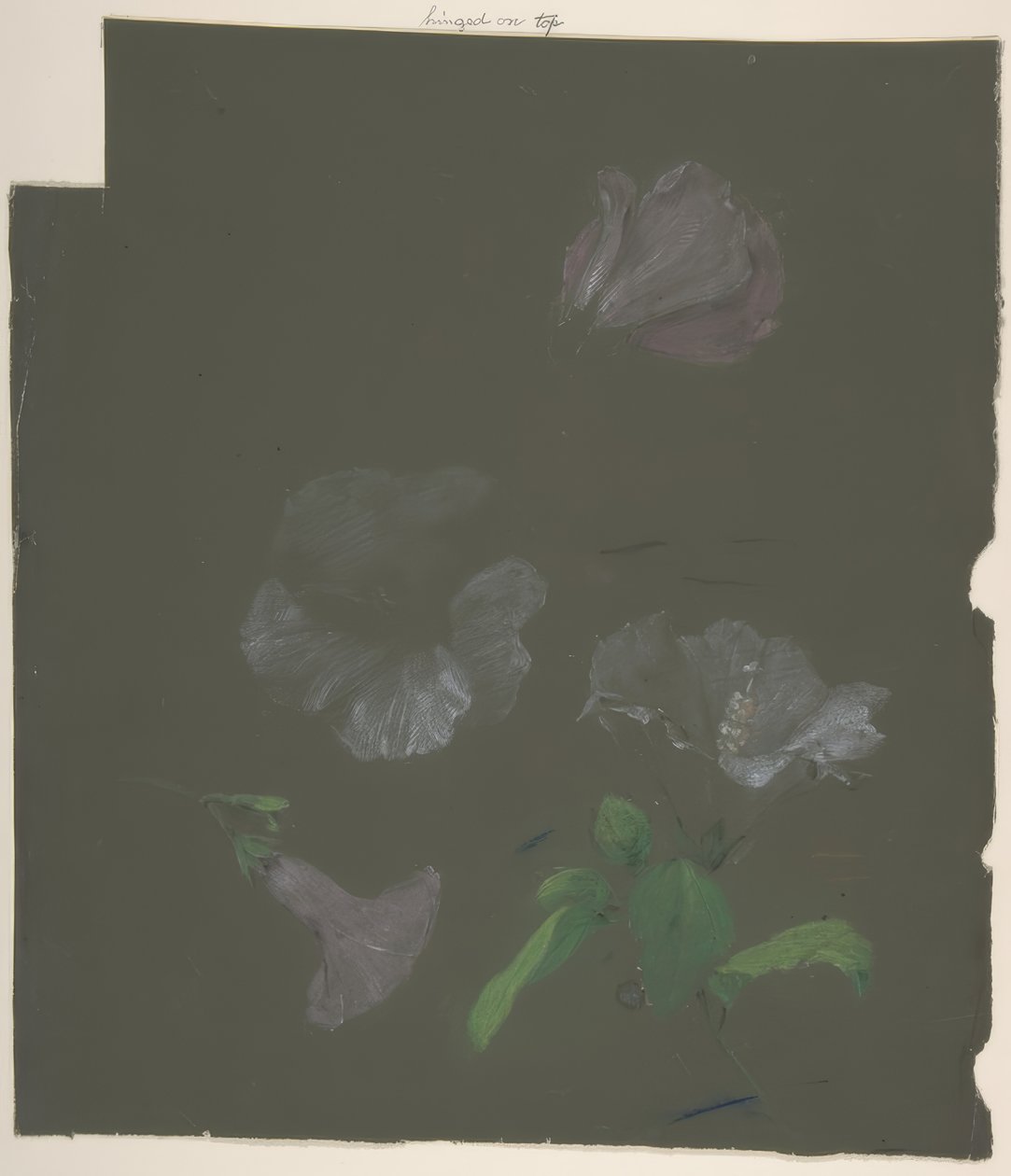 Floral Design 作者 安托万·伯戎（Antoine Berjon）