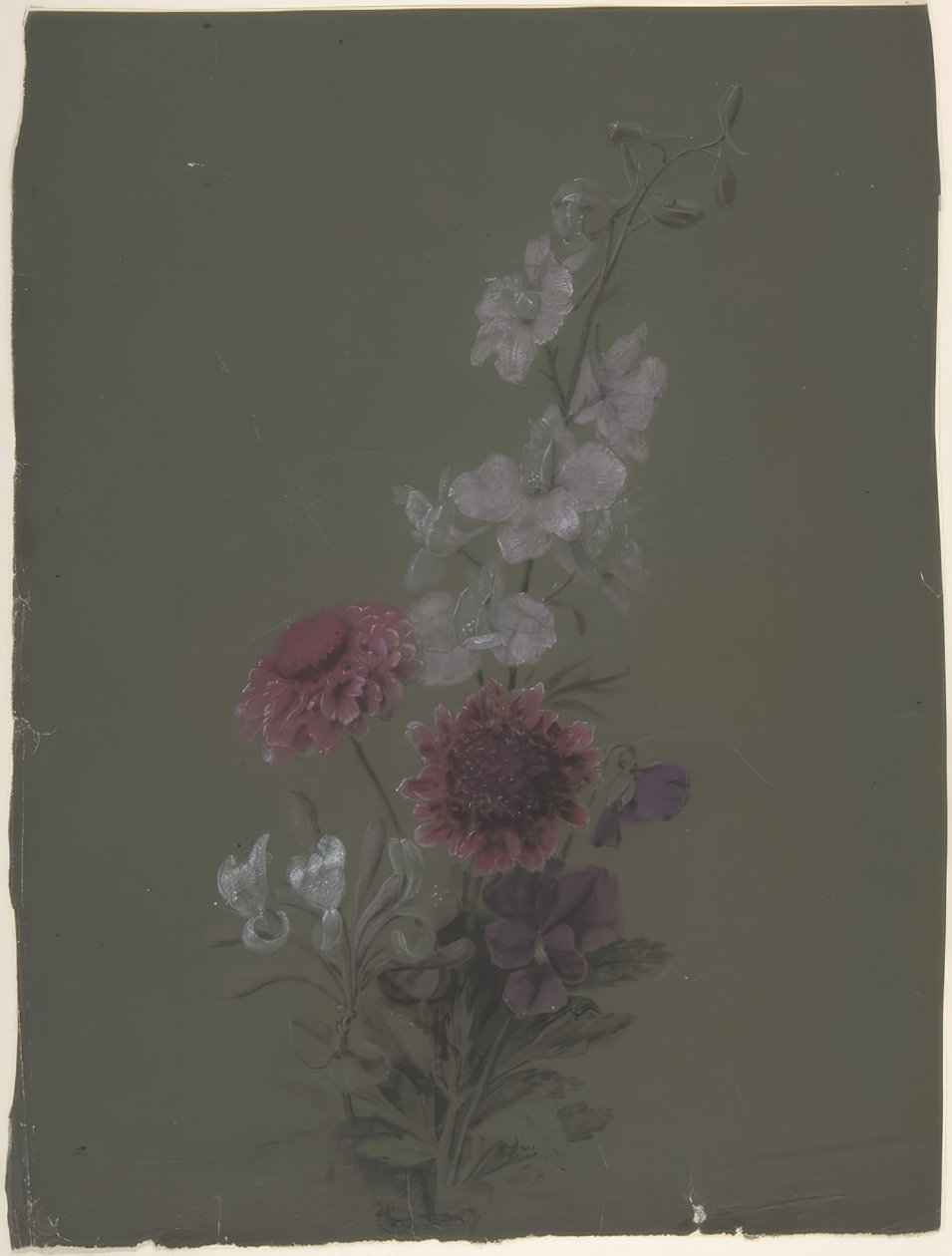 花卉设计 作者 安托万·伯戎（Antoine Berjon）