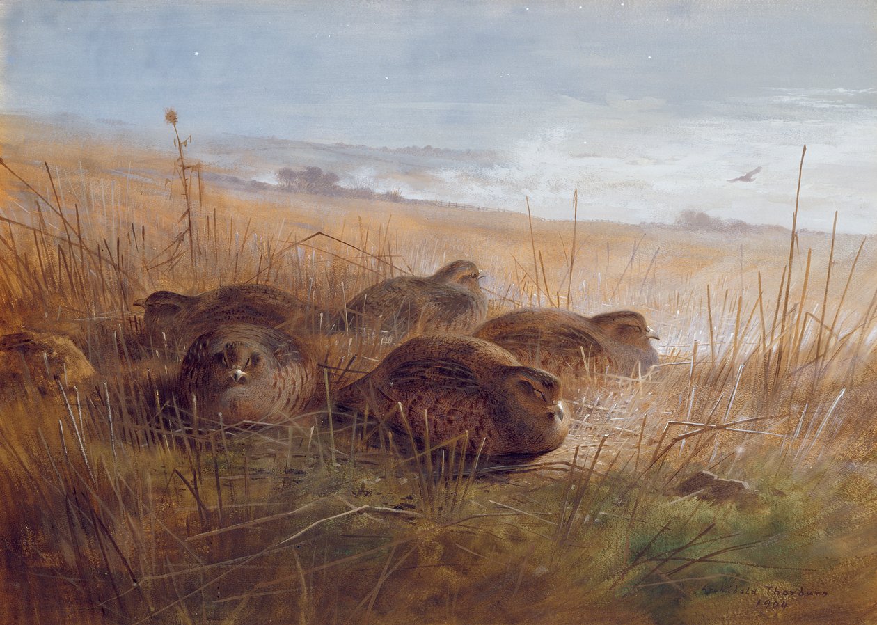 Snipe，1923 作者 阿奇博尔德·索伯恩
