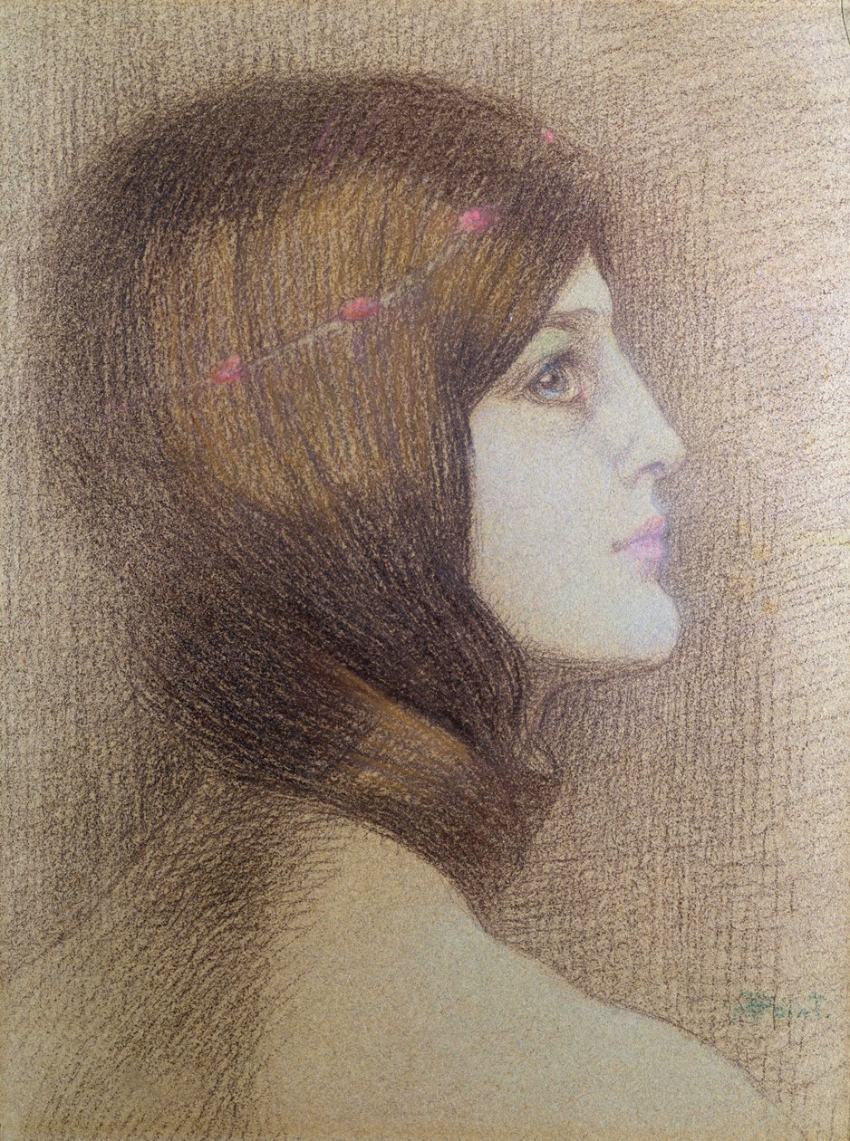 一个女人的肖像 作者 Armand Point