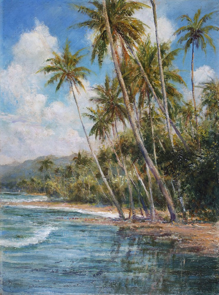 棕榈流苏海岸 作者 亚瑟·特雷弗·哈登
