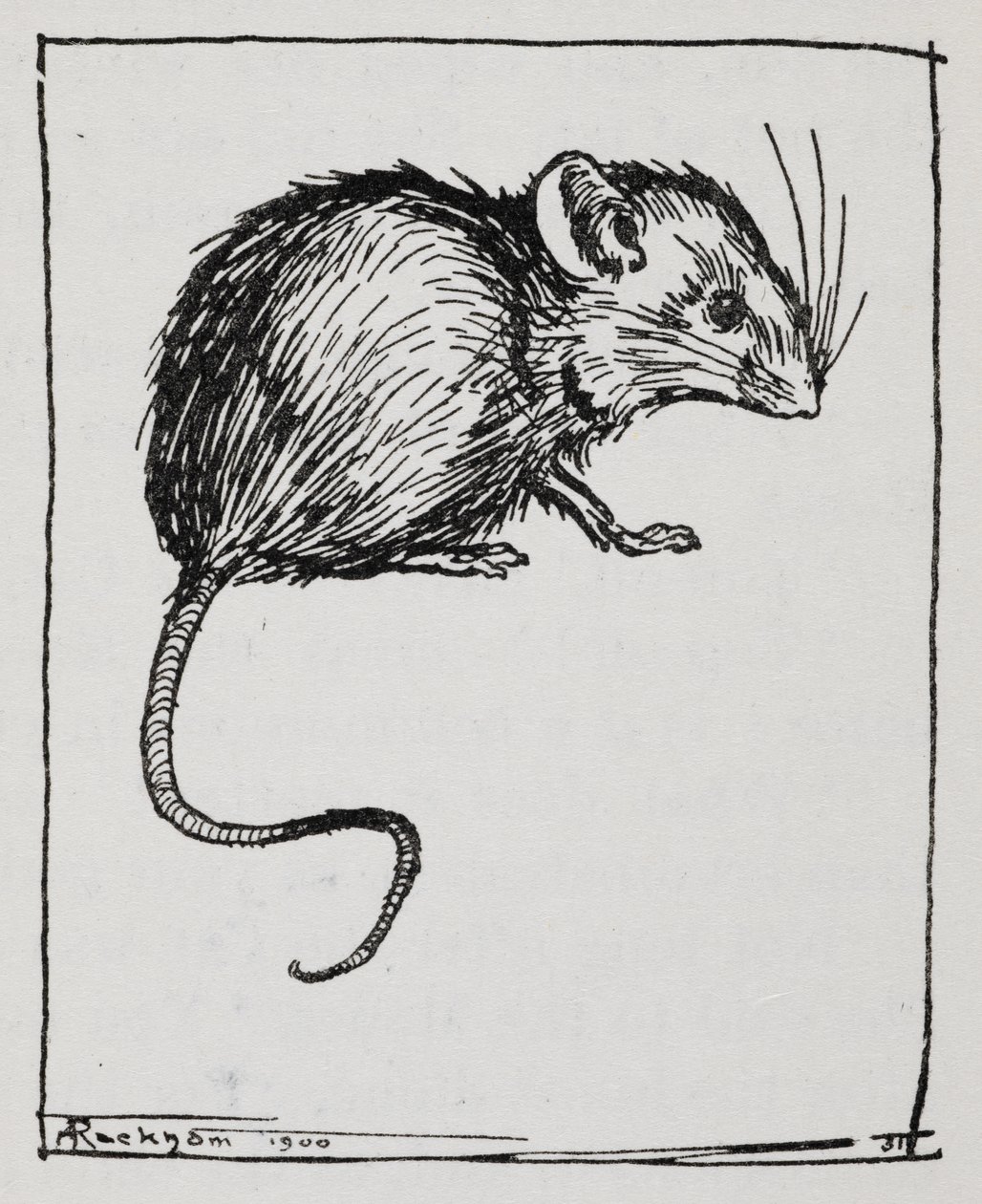 一个鼠标 作者 亚瑟·拉克汉姆（Arthur Rackham）
