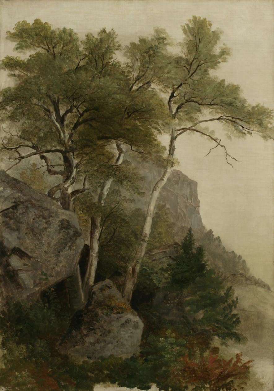 景观，1855年 作者 阿舍·布朗·杜兰德