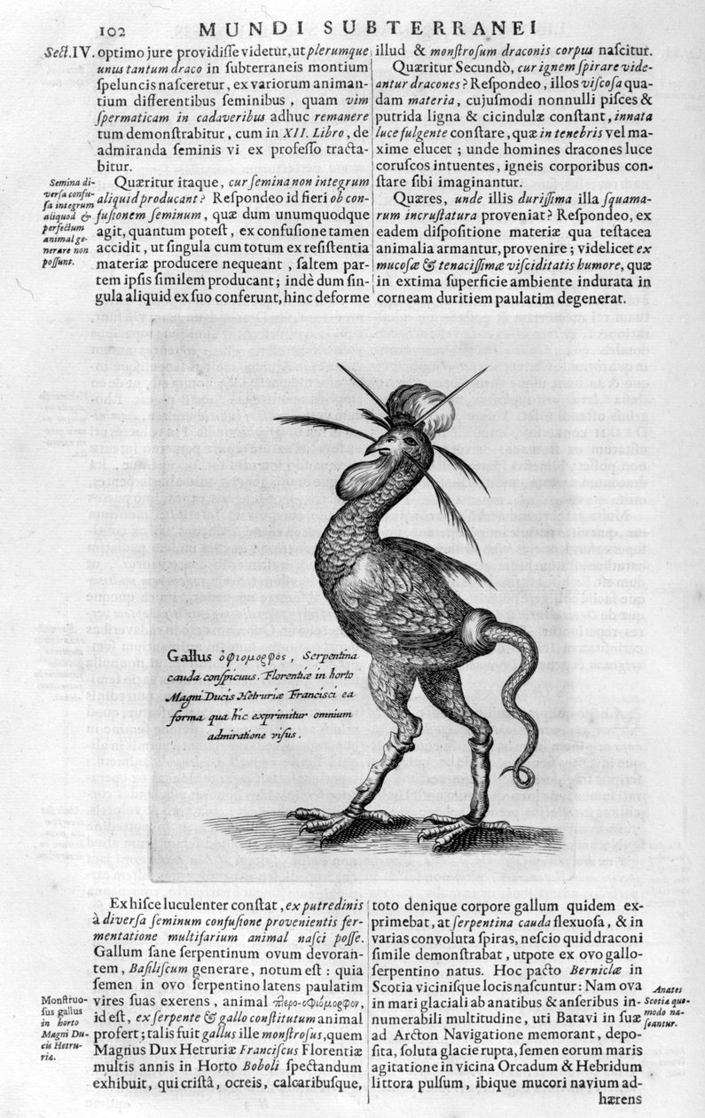 神秘生物，1678年。 作者 阿塔纳修斯·基歇尔