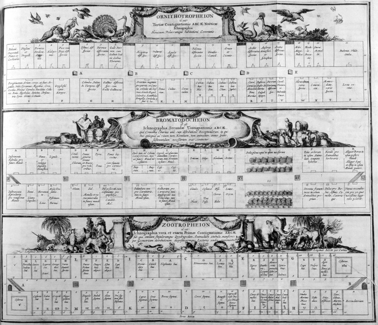 物种表，1765年。 作者 阿塔纳修斯·基歇尔