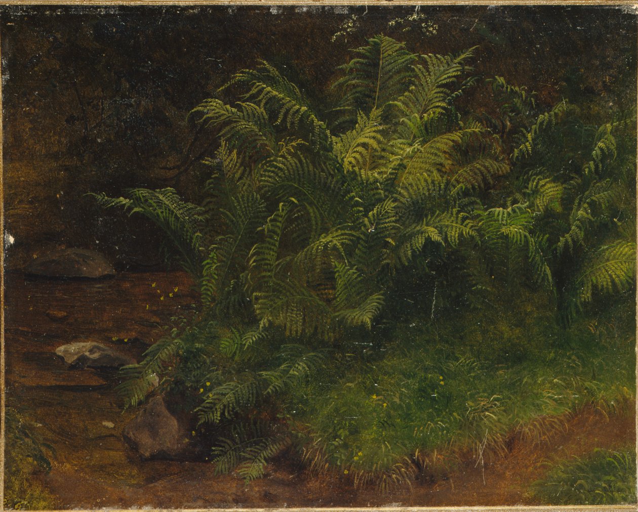 蕨类植物研究（布面油画） 作者 奥古斯特·卡佩伦