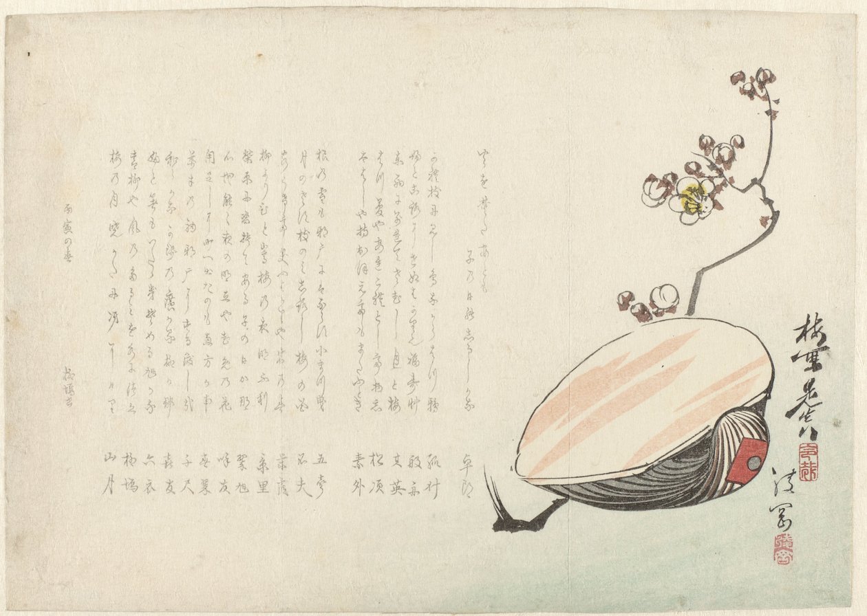 Schelp 作者 绫冈佑心