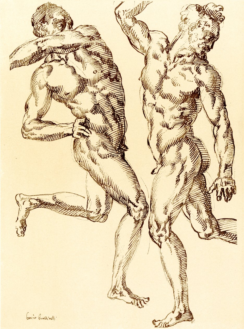 两个男性裸体研究 作者 巴乔·班迪内利（Baccio Bandinelli）