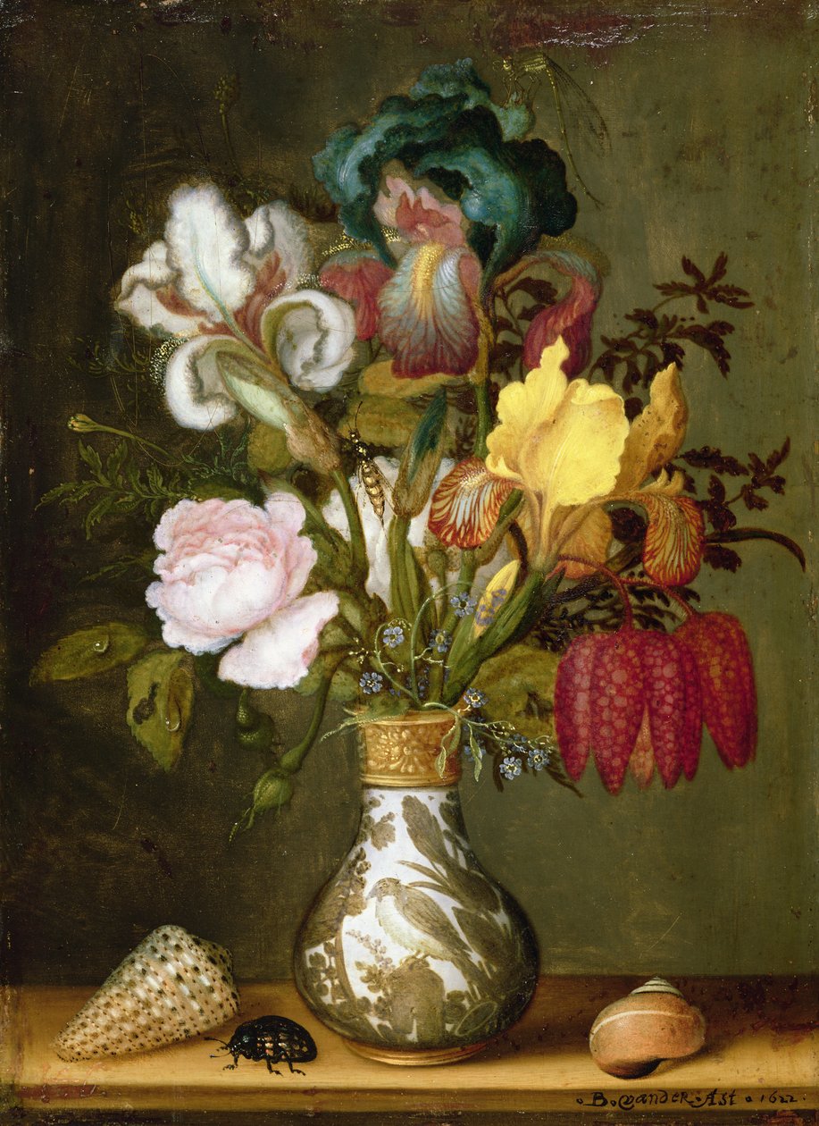 图片不明 作者 Balthasar van der Ast