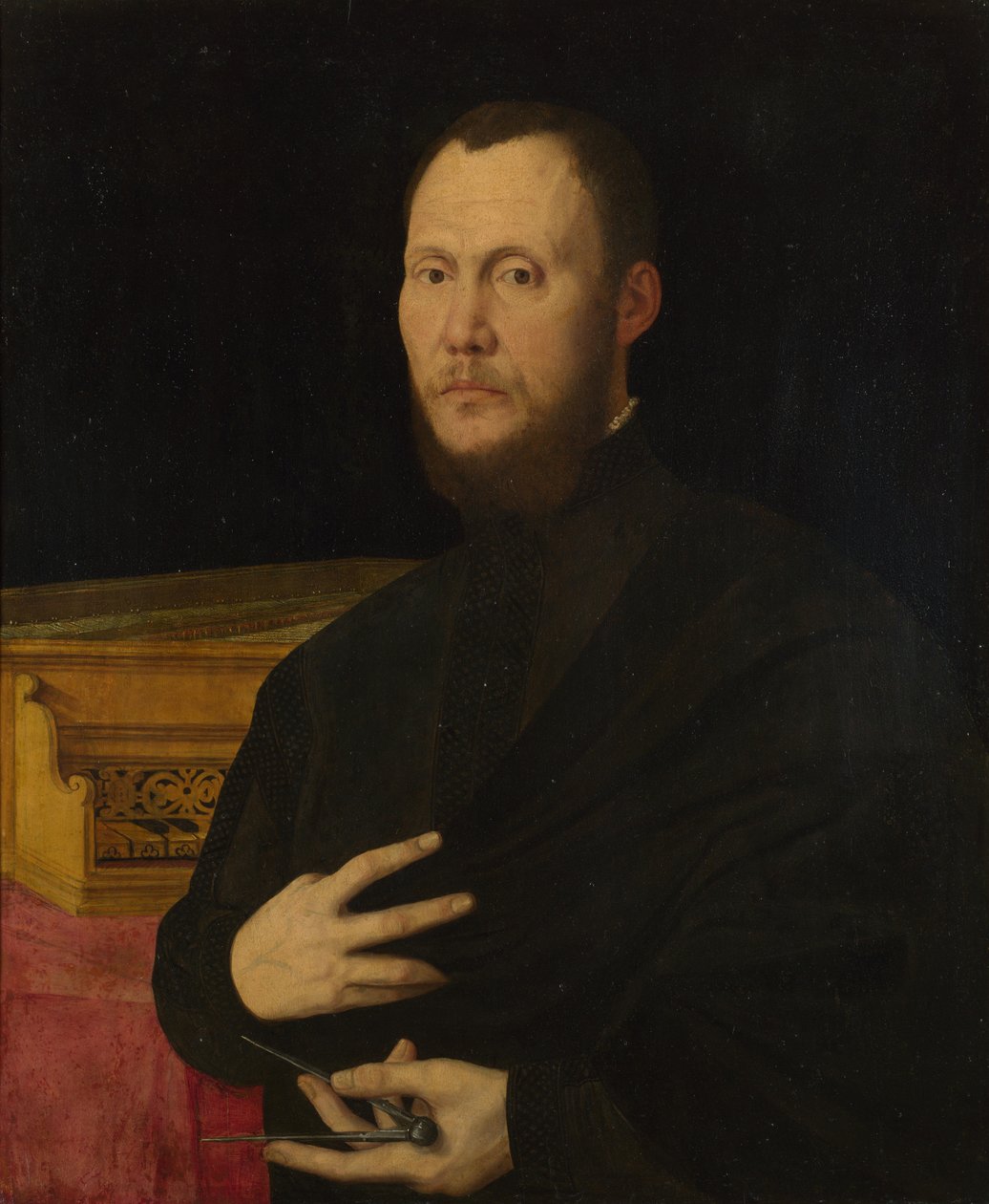 音乐家肖像c。 1565 作者 贝纳迪诺·坎皮（Bernardino Campi）