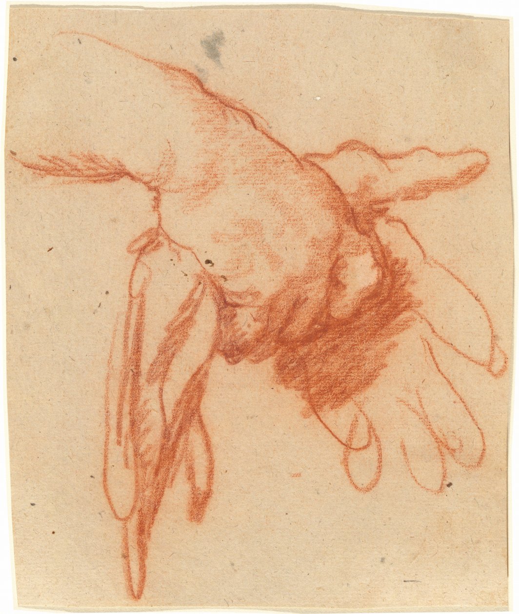 握着空手套的手 作者 贝尔纳多·斯特罗兹（Bernardo Strozzi）