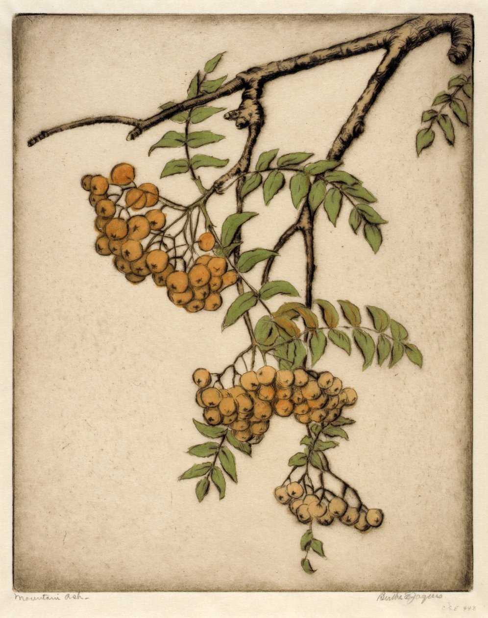 山灰 作者 伯莎·E·雅克
