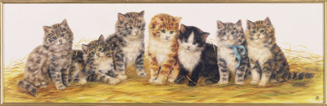 七只小猫 作者 贝西·班伯（Bessie Bamber）
