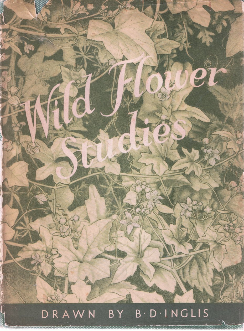 封面，1951年 作者 贝西·D·英格利斯