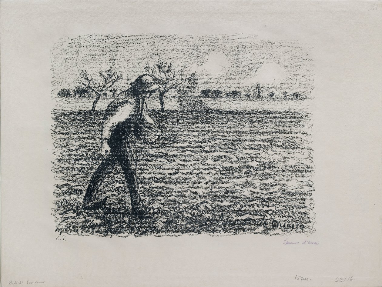 播种者》，1896年 作者 卡米尔·毕沙罗