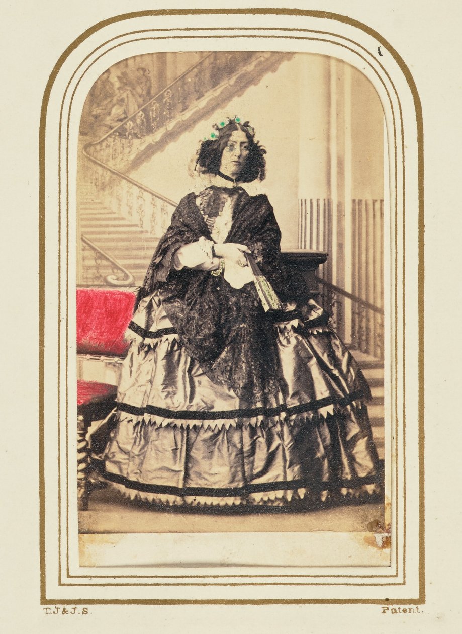 [埃莉诺-凯斯卡特女士] 作者 卡米尔·西尔维（Camille Silvy）
