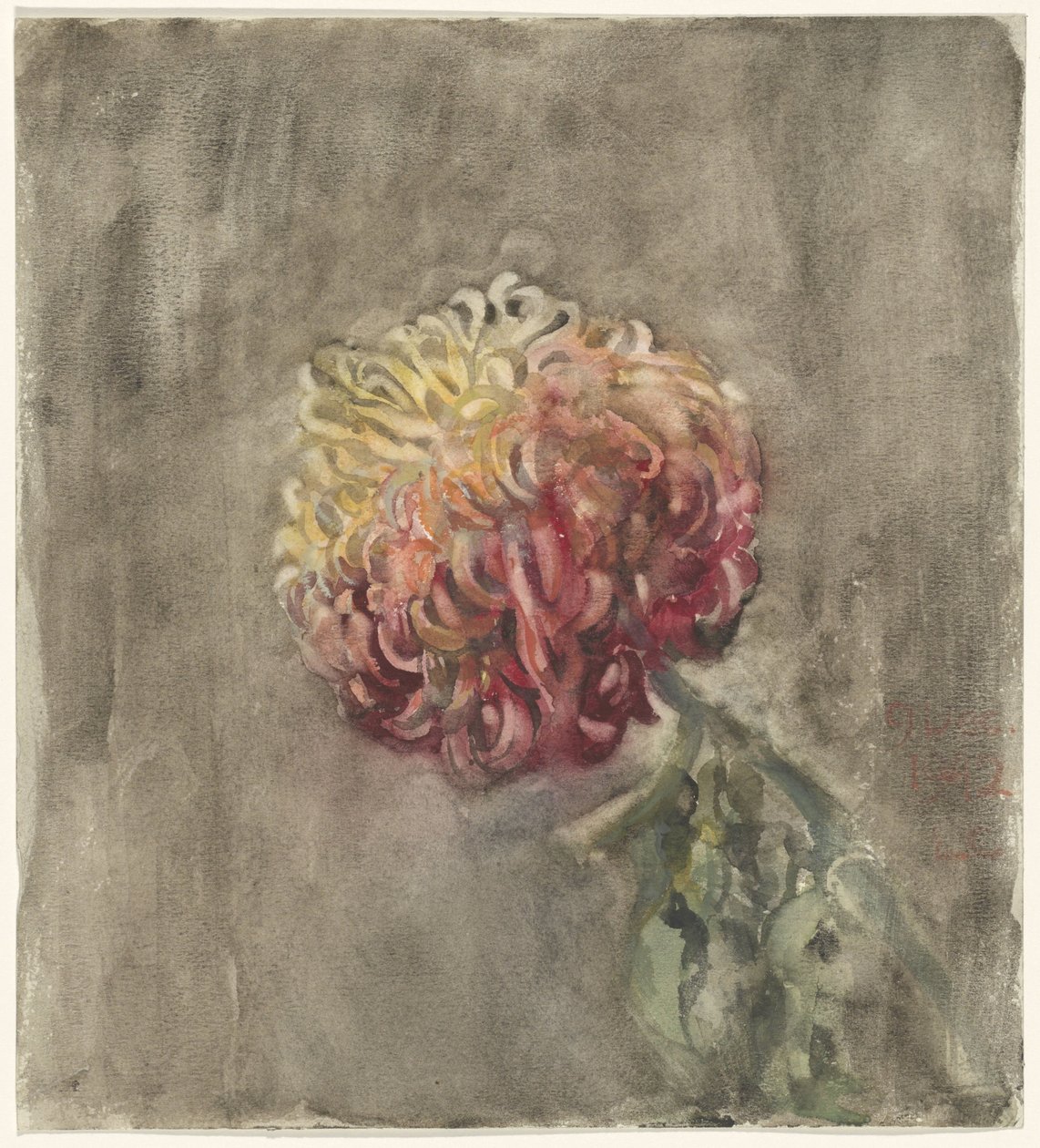 红菊花 作者 Carel Adolph 狮子纪念章