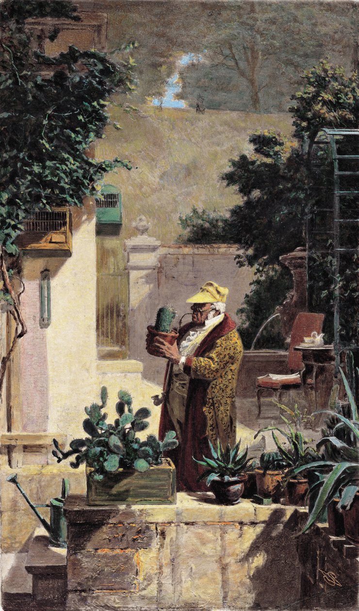 仙人掌情人，1858年之前 作者 卡尔·斯皮茨维格
