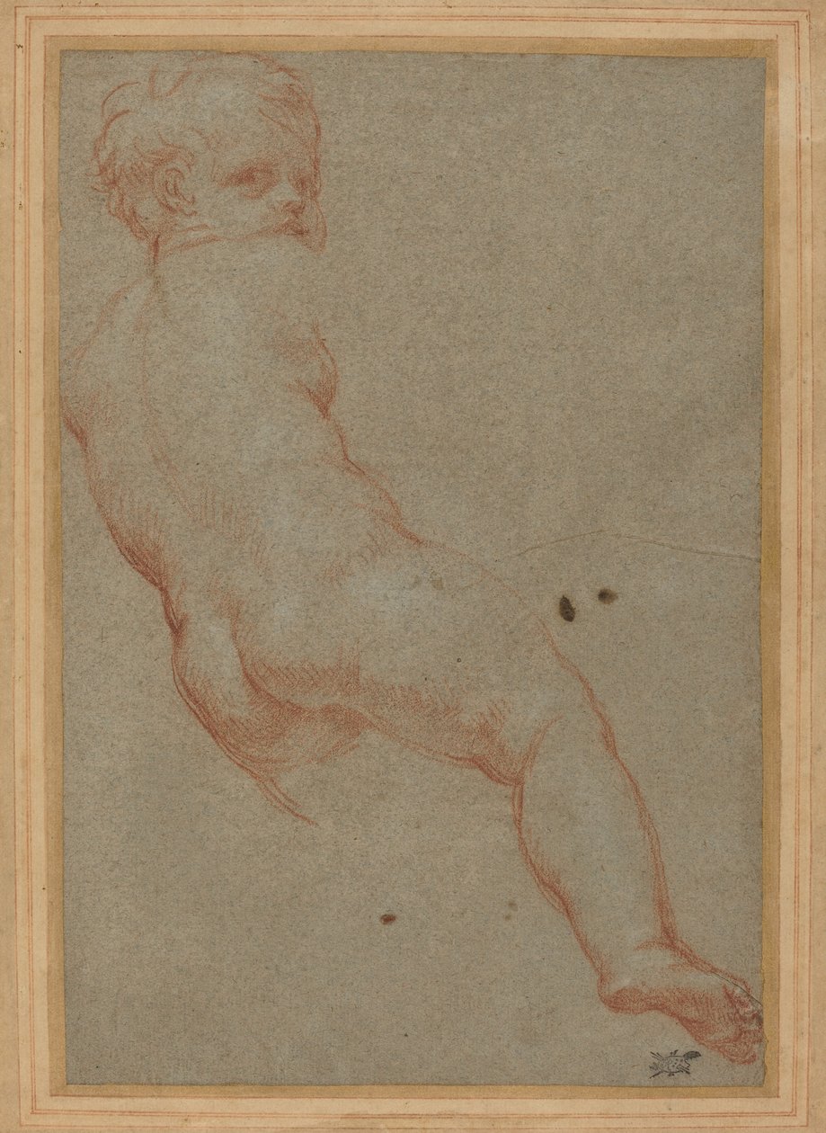 一个年轻男孩的研究 作者 卡洛·马拉塔（Carlo Maratta）