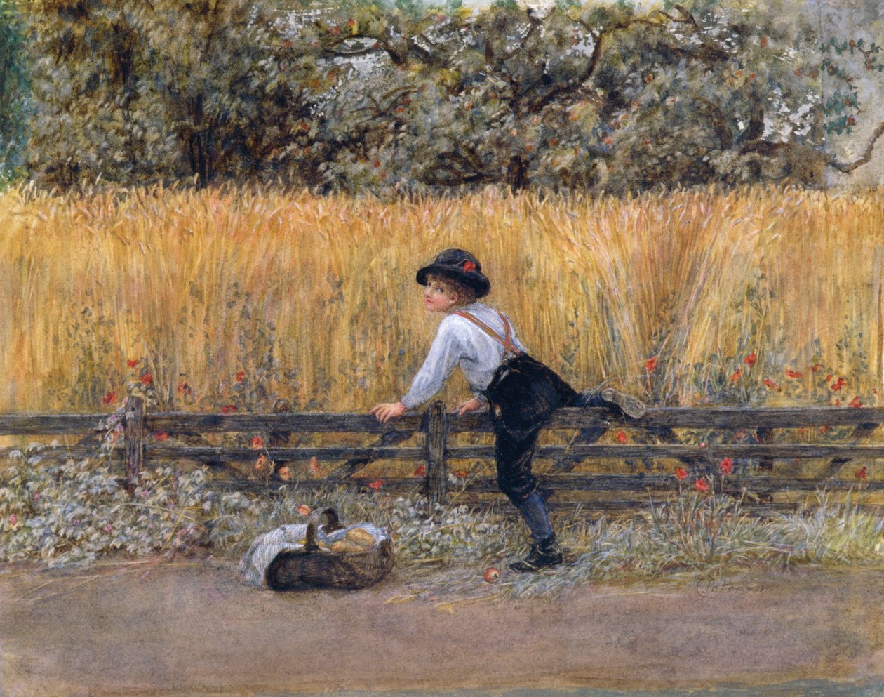 Scrumping苹果 作者 卡罗琳·帕特森（Caroline Paterson）