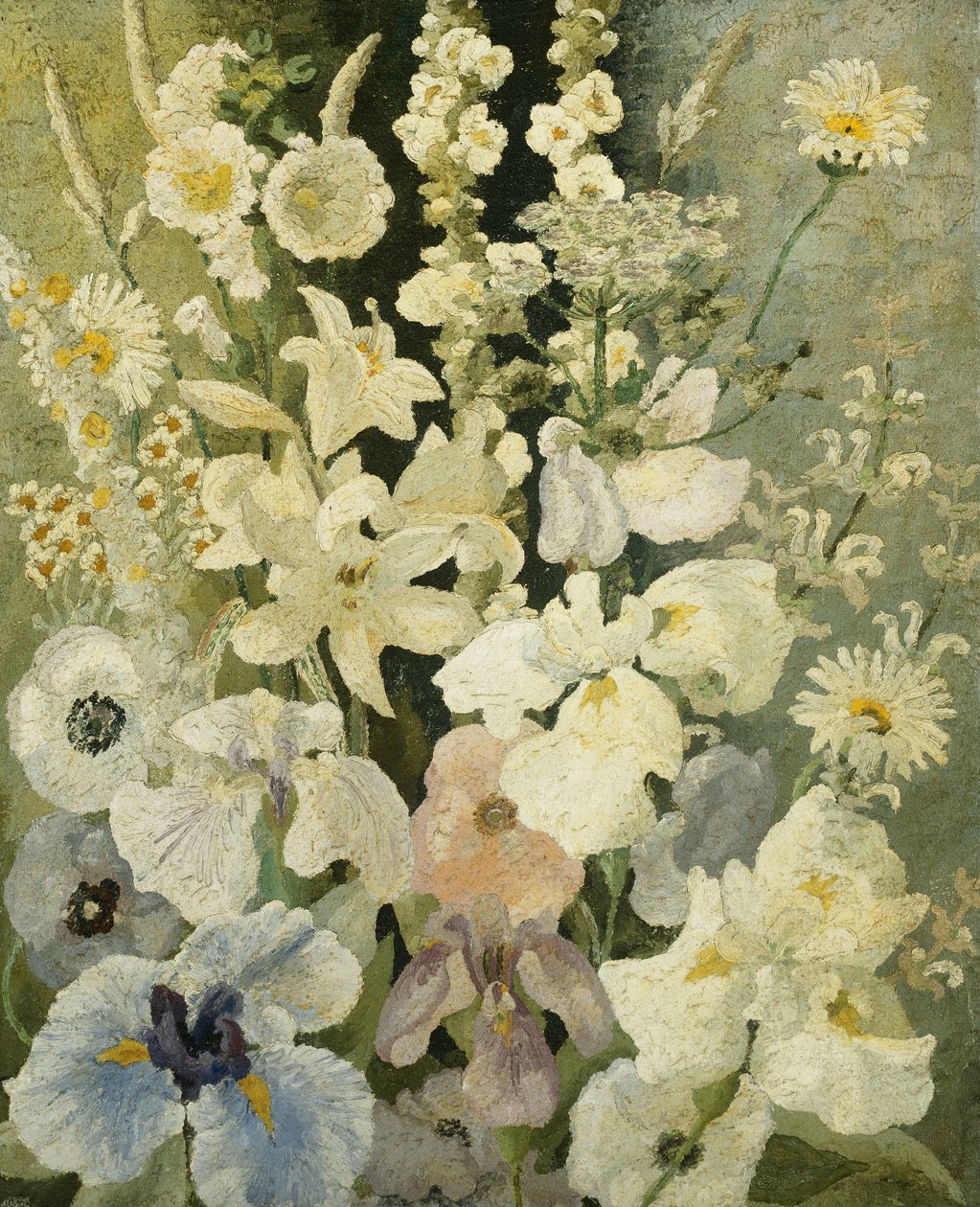 白花 作者 塞德里克·莫里斯