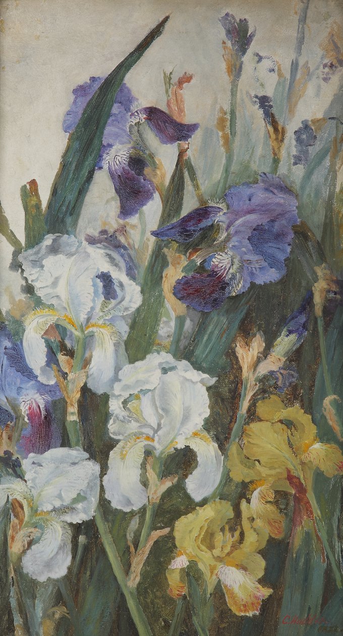 鸢尾花，1882年 作者 夏洛特·霍德（Charlotte Hodder）