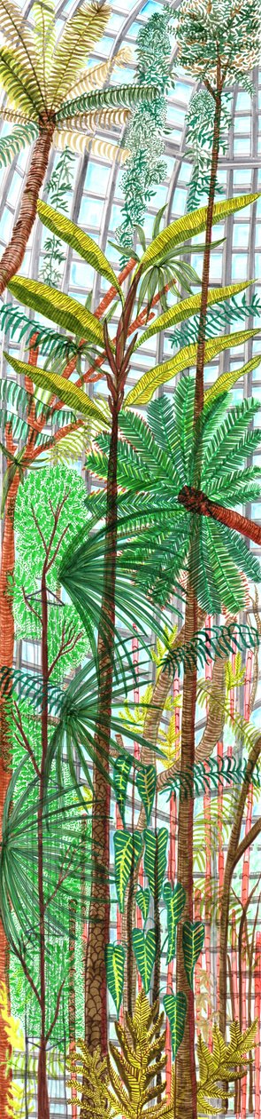 植物园》，2017年（毛笔画）。 作者 夏洛特奥尔