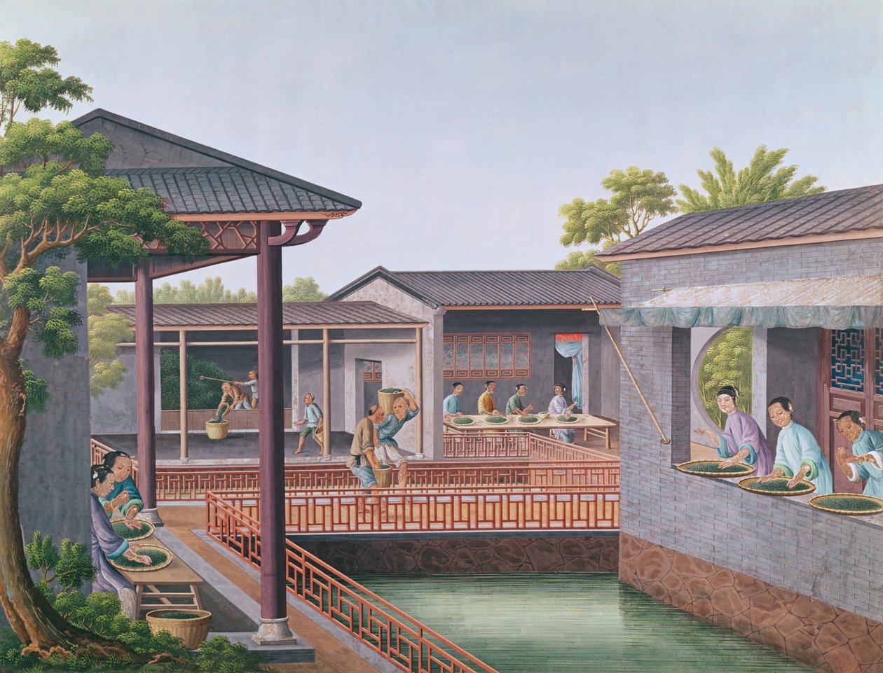 分级茶（纸上wc） 作者 中文学校