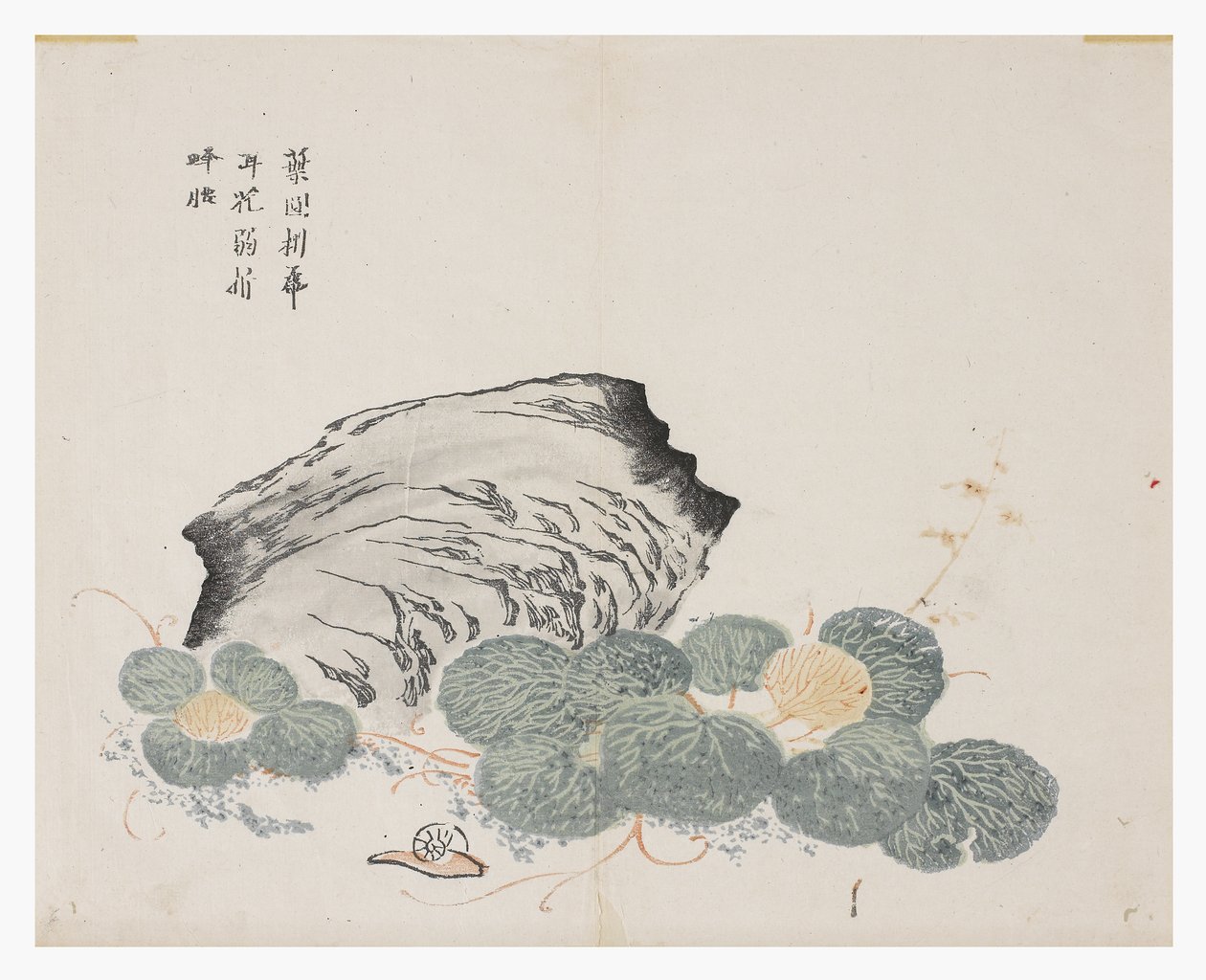 芥菜园 作者 中文学校
