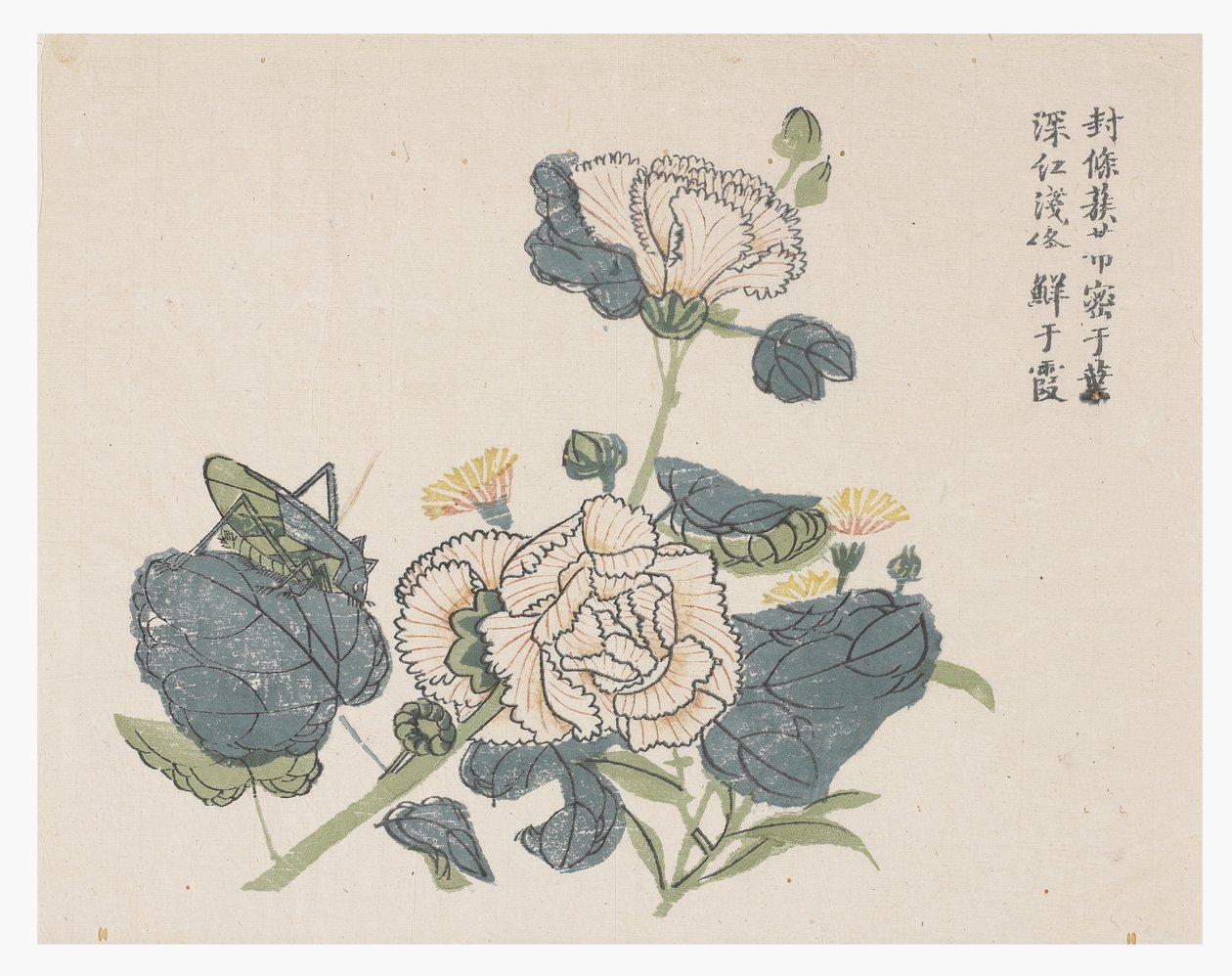 芥菜园 作者 中文学校