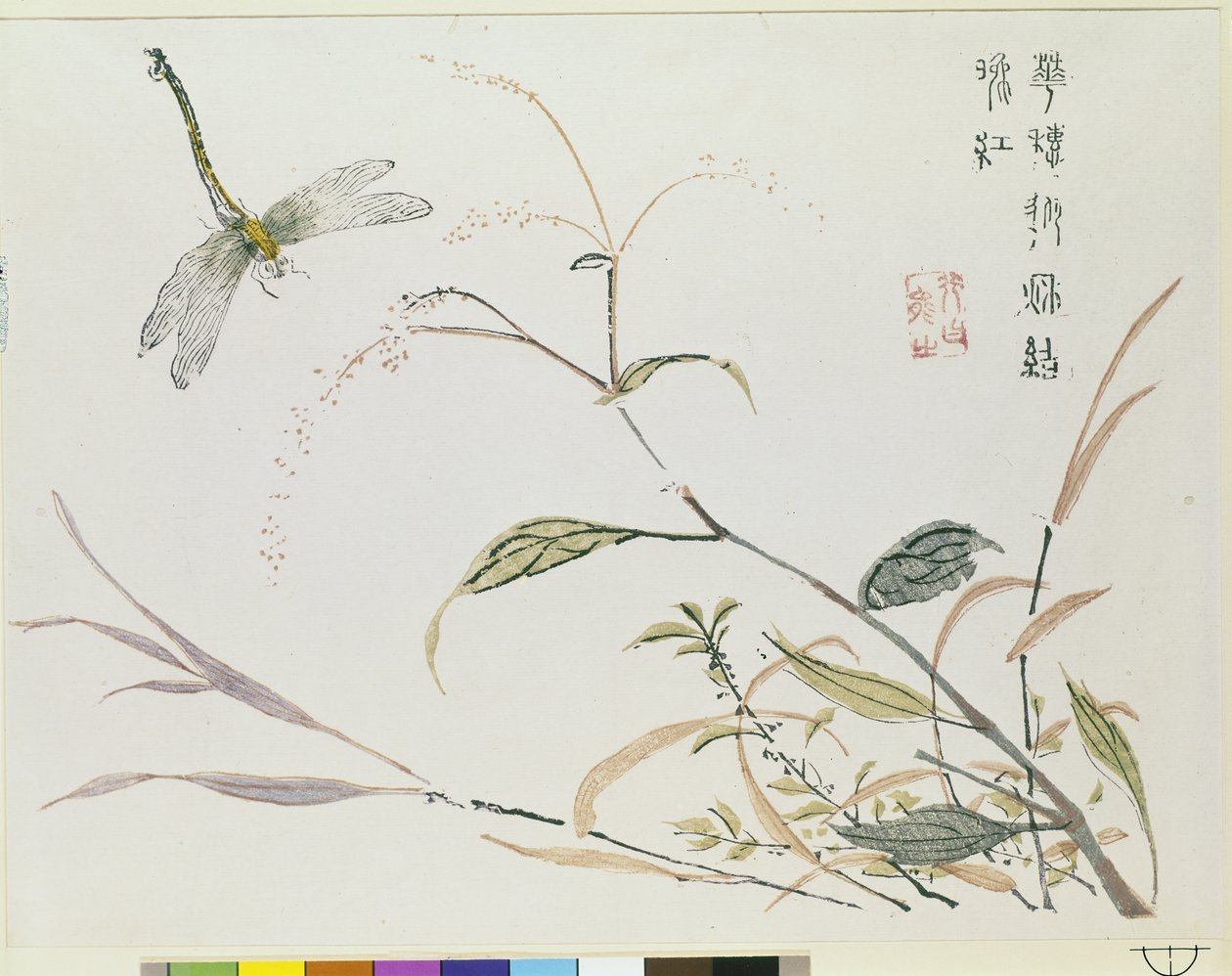 芥菜籽园 作者 中文学校