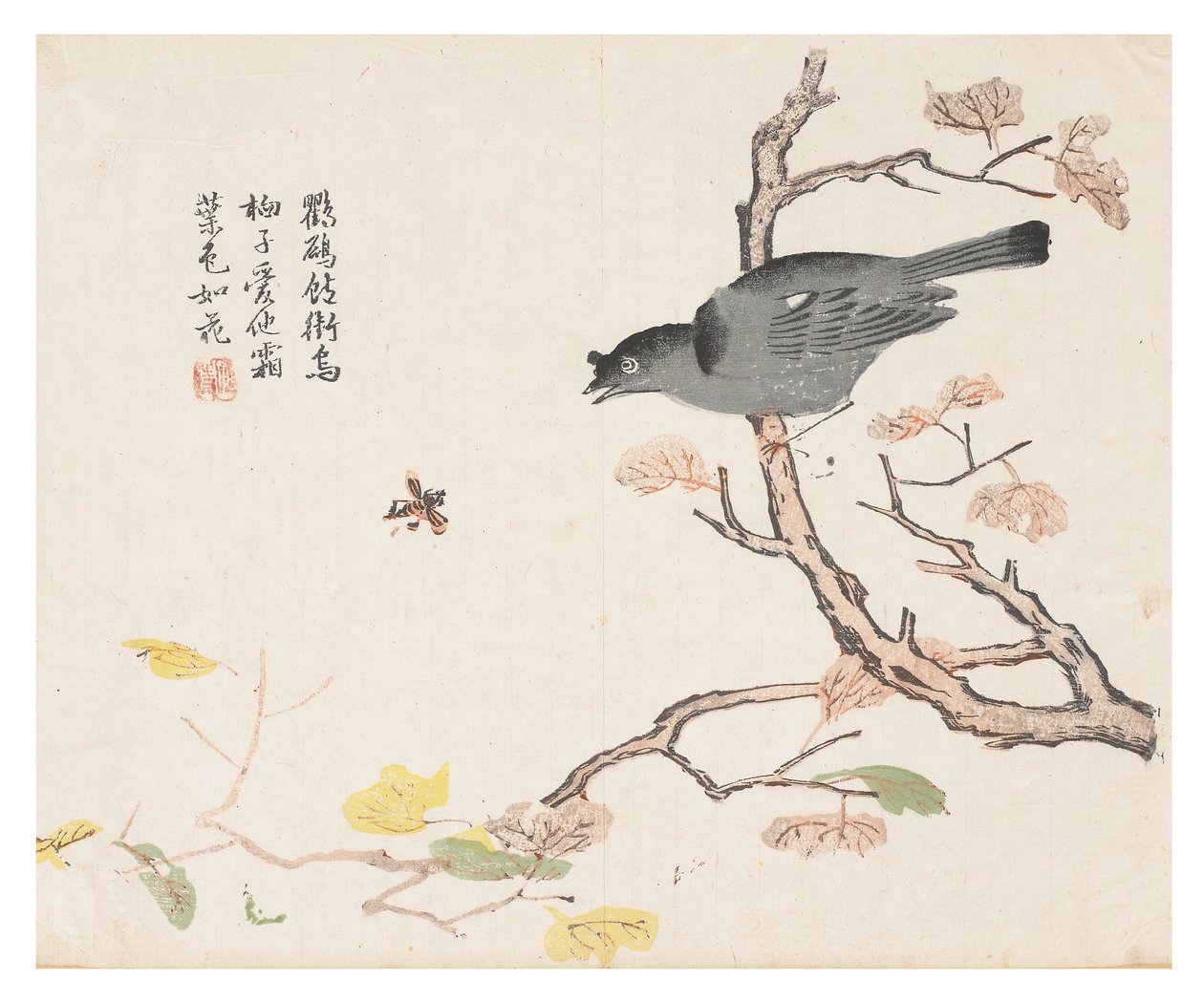 芥菜园 作者 中文学校