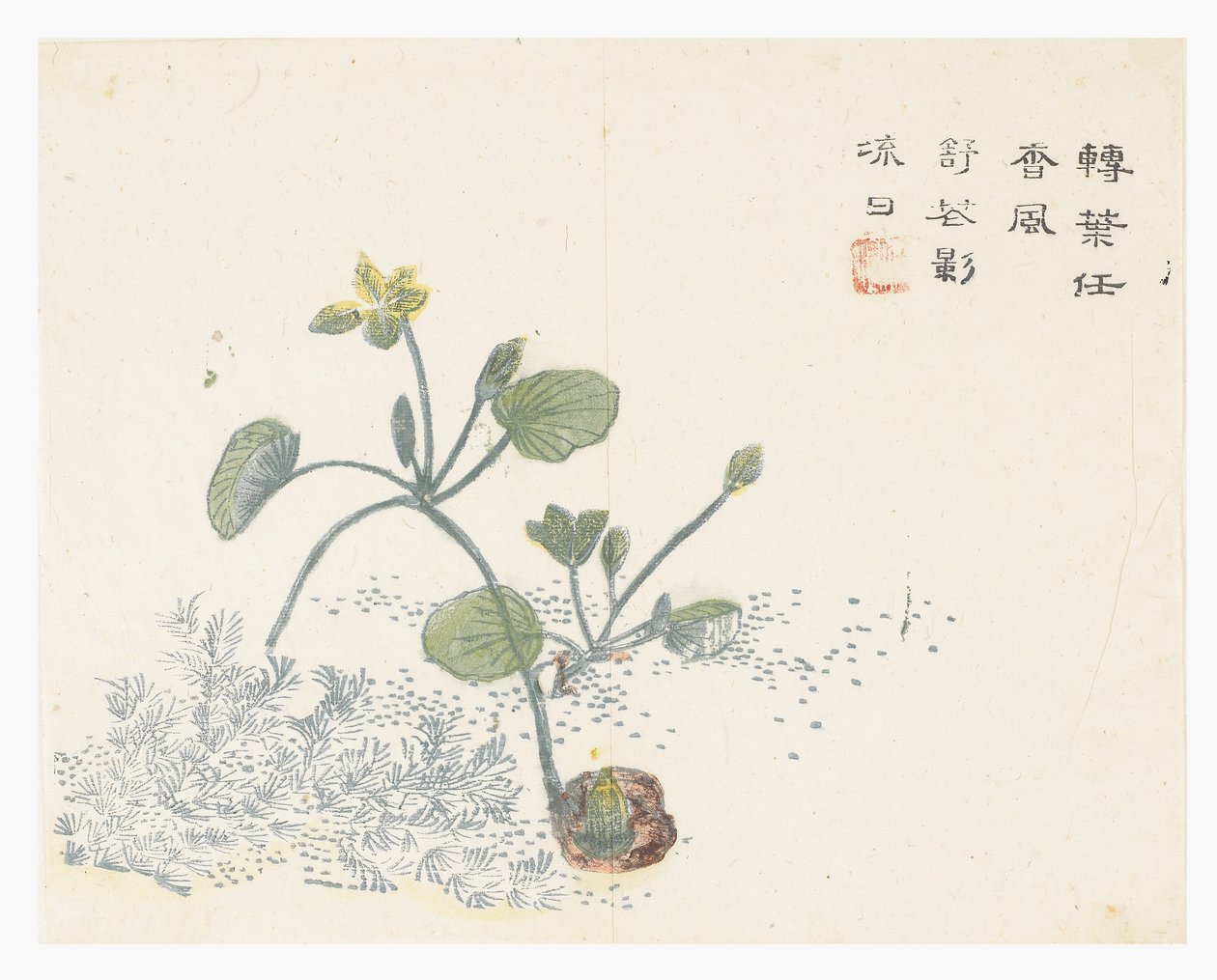 芥菜园 作者 中文学校