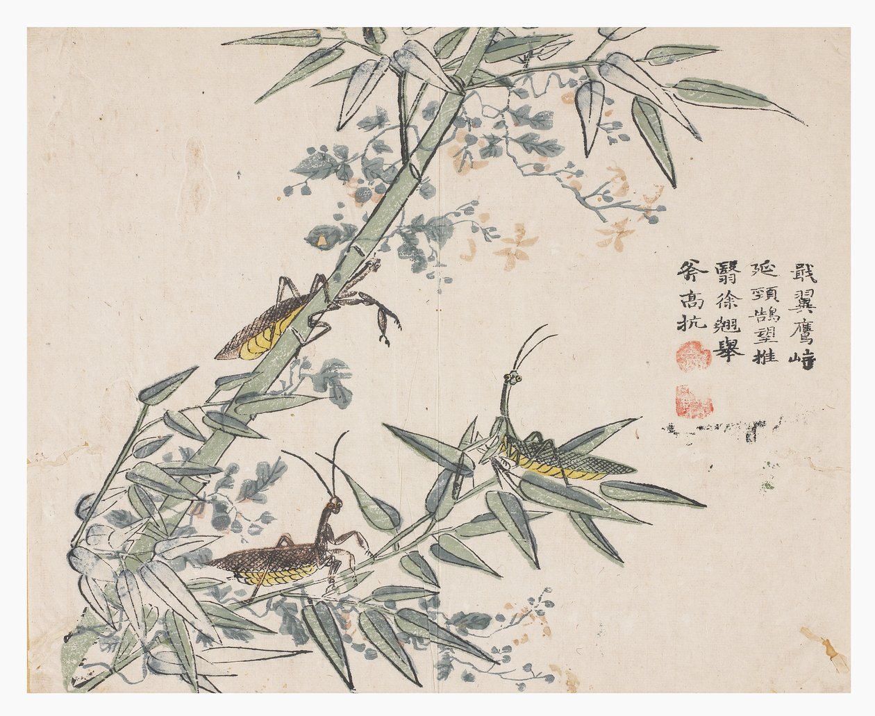 芥菜园 作者 中文学校