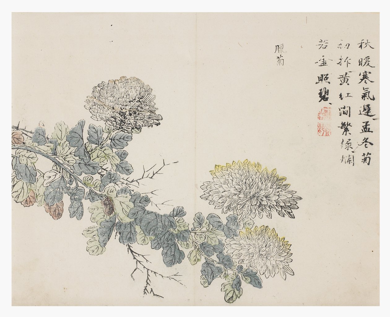 芥菜园 作者 中文学校