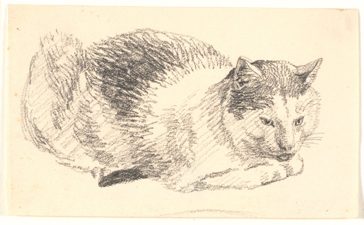 说谎的猫 作者 克里斯汀·科布（ChristenKøbke）