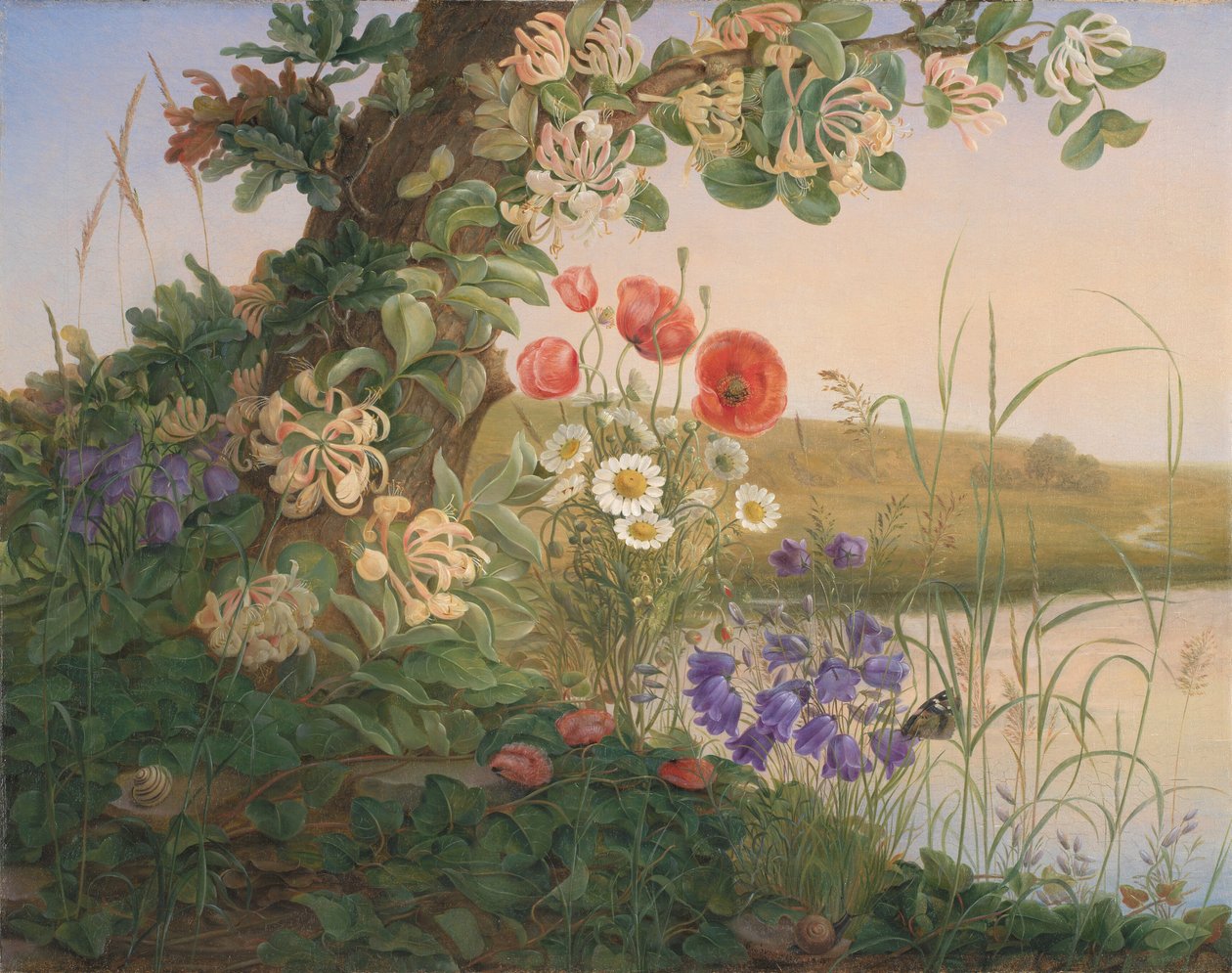 花片 作者 克里斯汀·洛夫曼