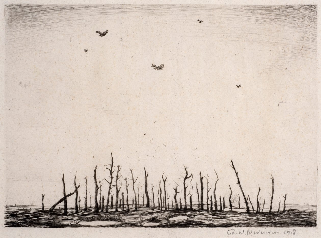 CursèdWood，1918年（干点） 作者 克里斯托弗·理查德·怀恩·内文森