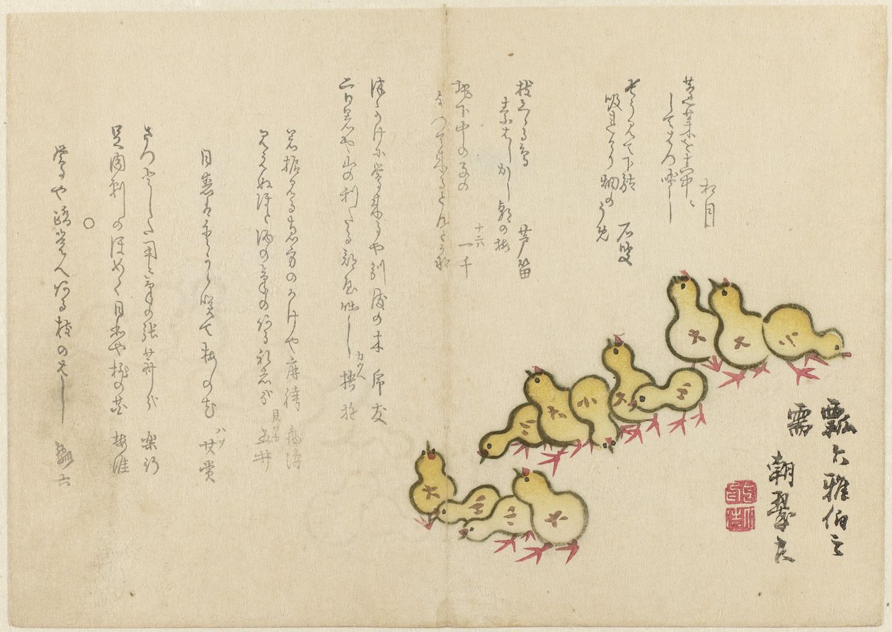小鸡 作者 长水