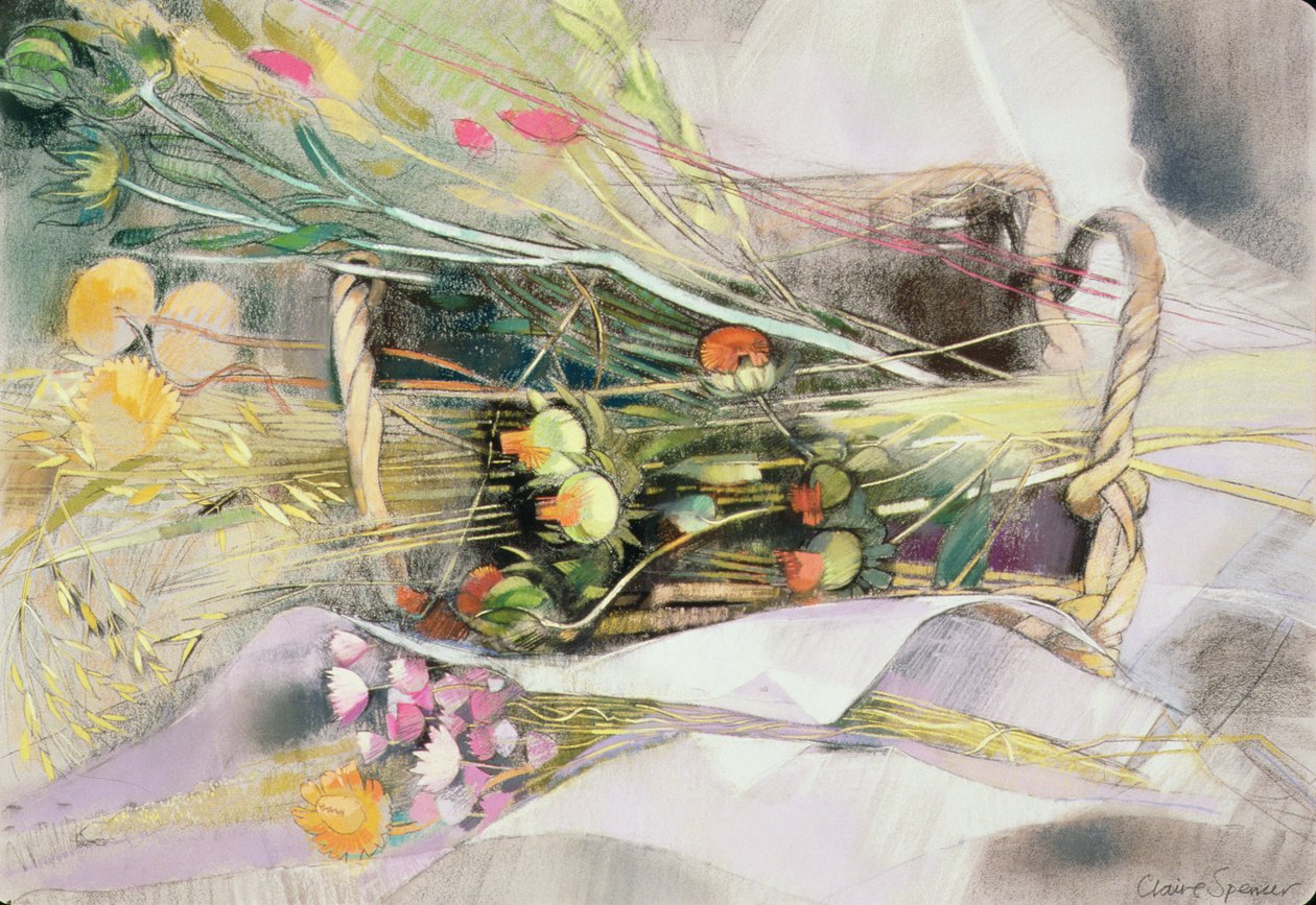 干花篮子（ 作者 克莱尔·斯宾塞