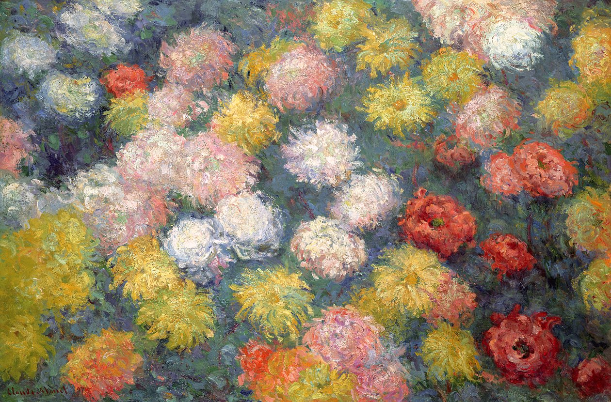菊花，1897年 作者 克劳德·莫奈