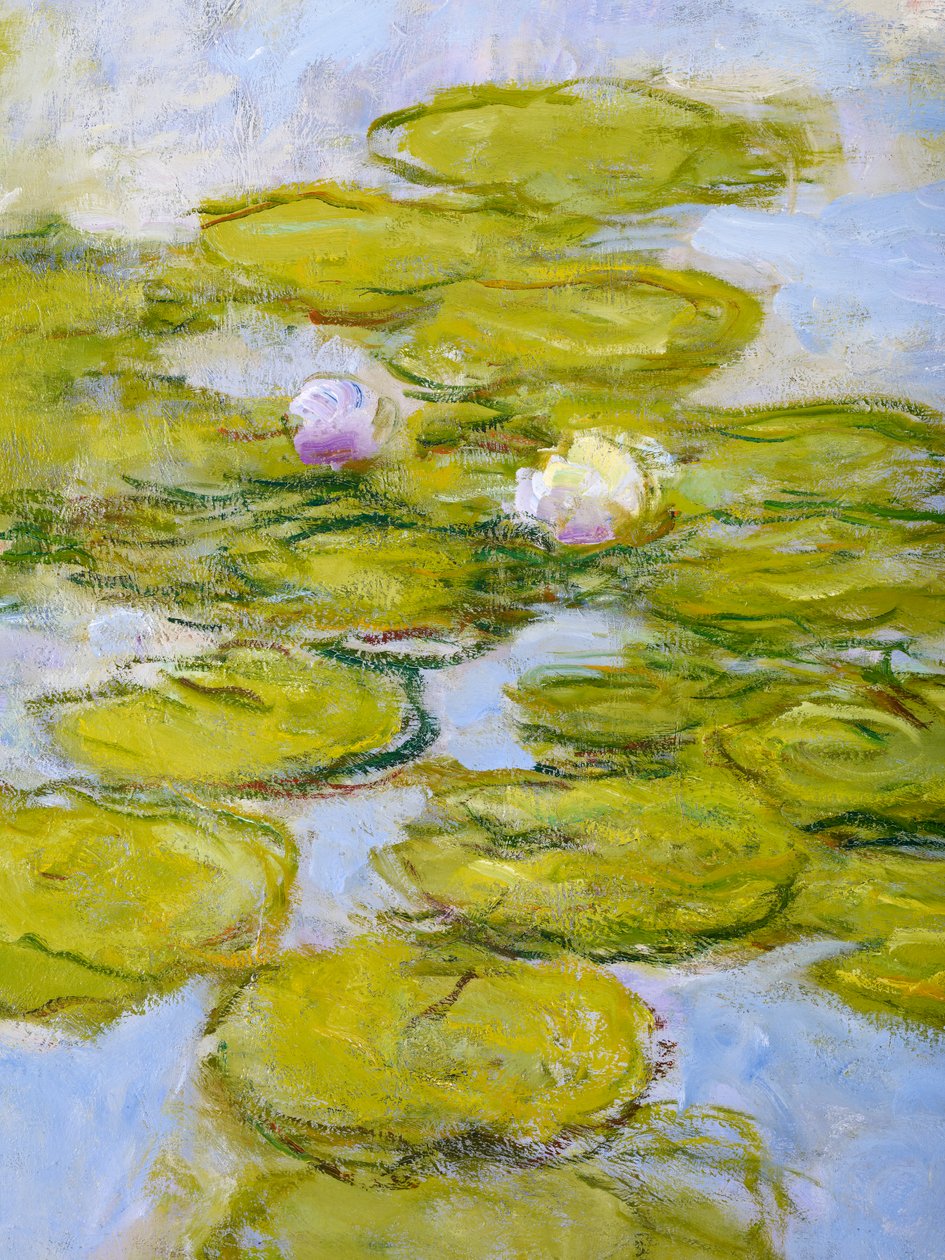Nympheas，1916-19（细节377597） 作者 克劳德·莫奈