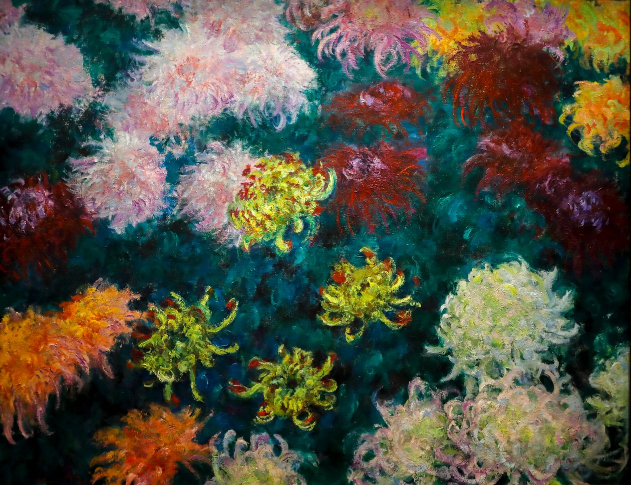 菊花床 作者 克劳德·莫奈