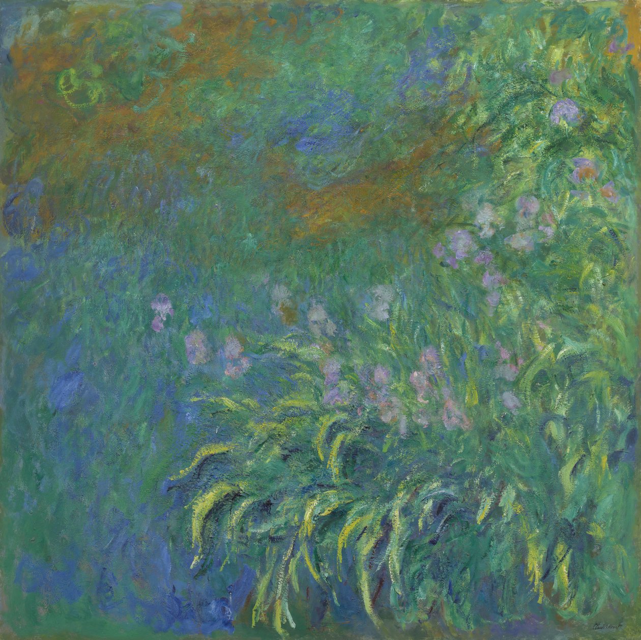 鸢尾花，191417。 作者 克劳德·莫奈